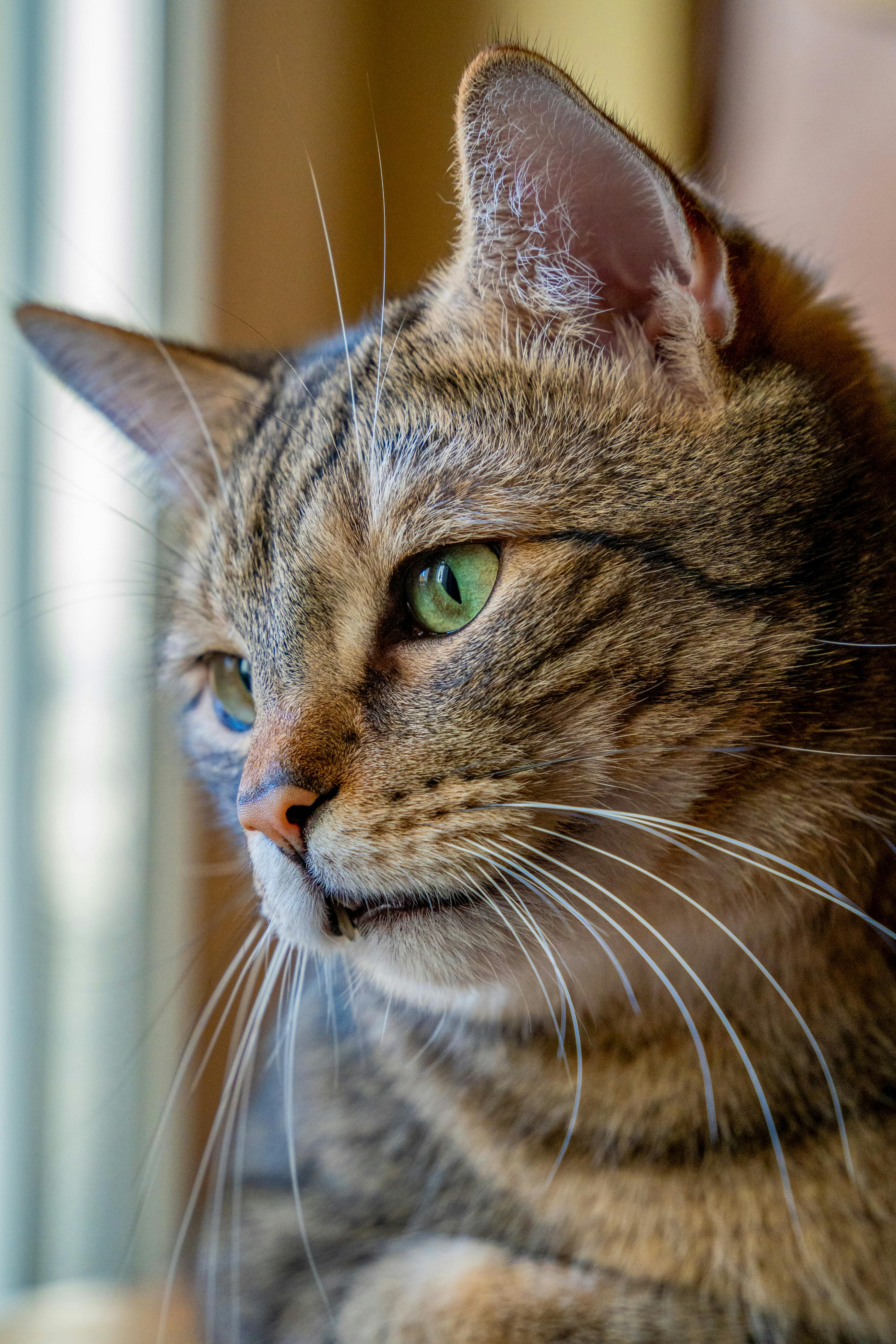 Theo — original photograph
